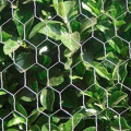 PVC PVC Cage Cage Hexagonale Mesh